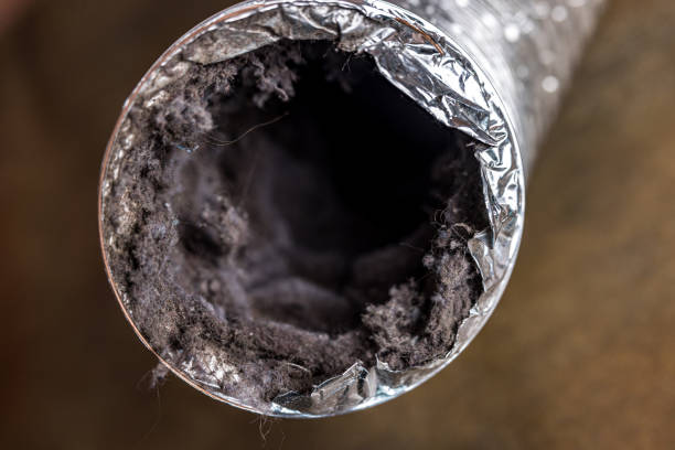 Best Ventilation Cleaning Services  in Redway, CA