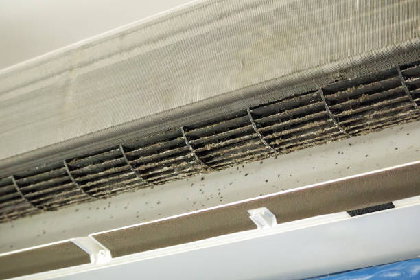 Best Emergency Air Duct Cleaning  in Redway, CA