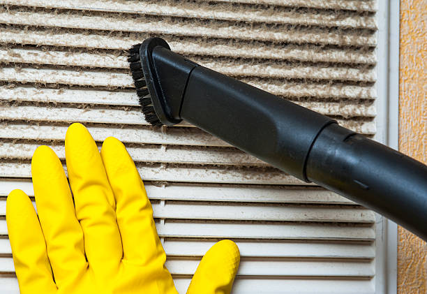 Best Local Air Duct Cleaning Services  in Redway, CA